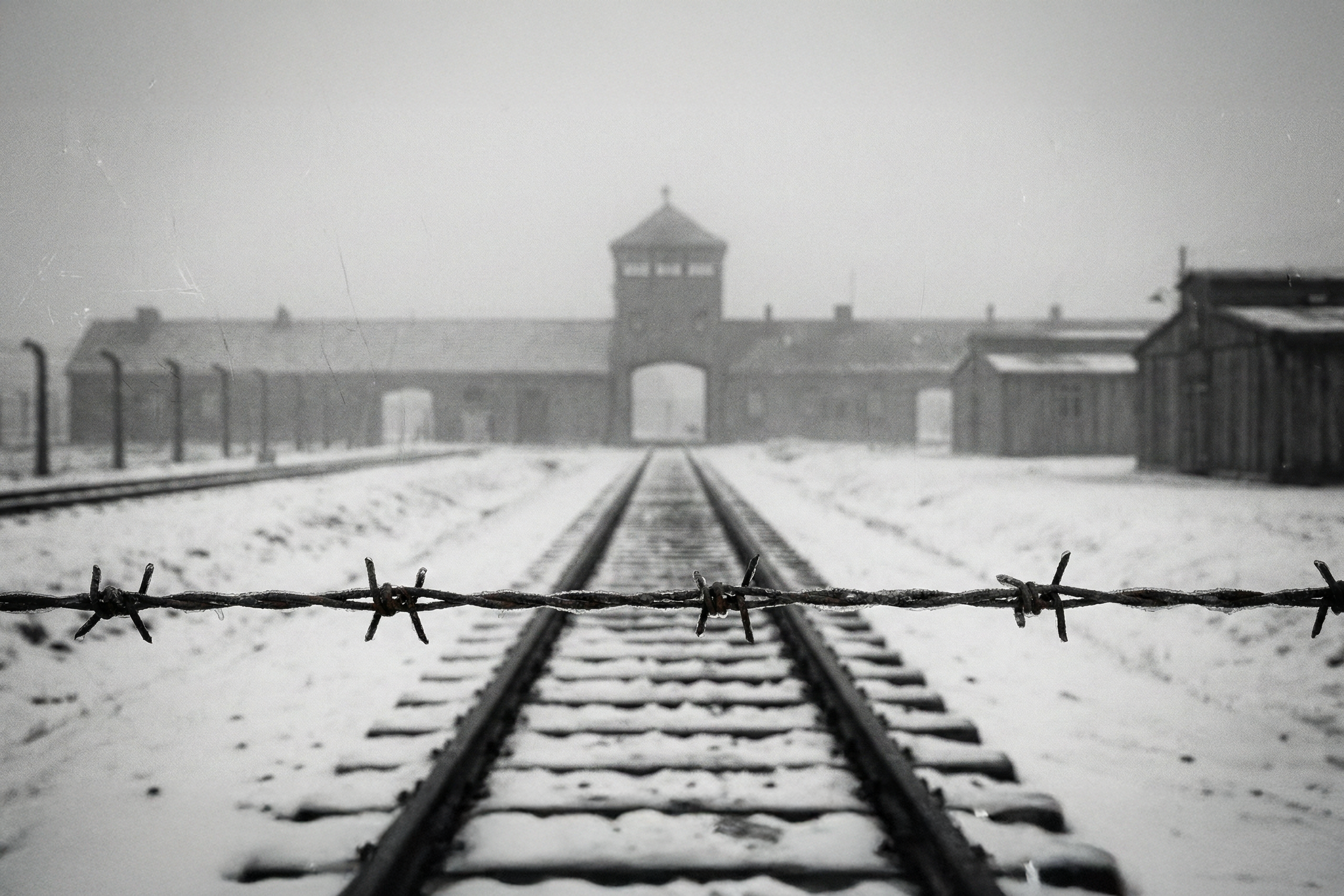 Tichá svědectví: Osvětim (Auschwitz) stále mluví