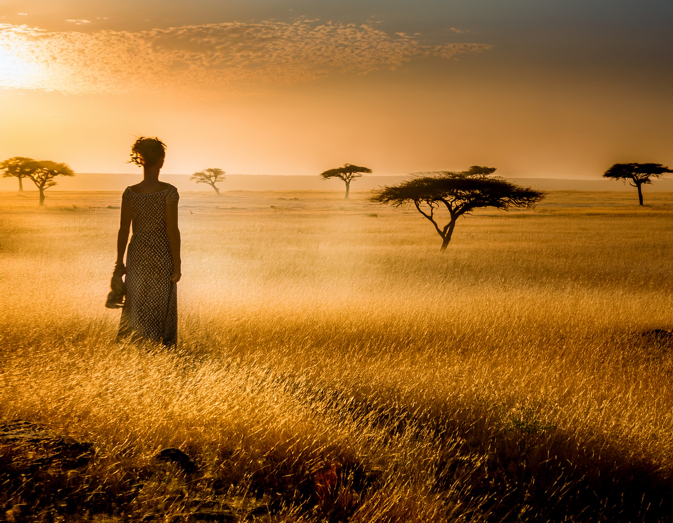 Barbara Wood: Pod afrykańskim słońcem